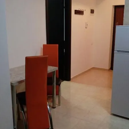 Garsoniera Andrei شقة